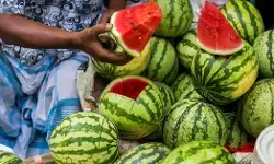 ಖರೀದಿಸಿದ ಕಲ್ಲಂಗಡಿ ಉತ್ತಮವೆಂದು ತಿಳಿಯುವುದು ಹೇಗೆ?