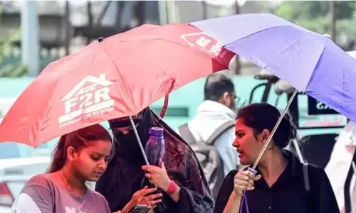 ಸಂಪಾದಕೀಯ | ರಣಬಿಸಿಲಿಗೆ ತತ್ತರಿಸಿದ ಜೀವ ಸಂಕುಲ