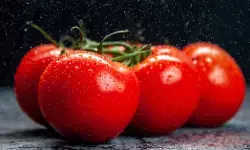 ನಿಮ್ಮ ಟೊಮೆಟೊ ಸೇವನೆ ಸರಿಯಾಗಿದೆಯೆ?