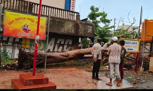 ಬೆಳಗಾವಿಯಲ್ಲಿ ಧಾರಾಕಾರ ಮಳೆ-ಬಿರುಗಾಳಿ: ಧರೆಗುರುಳಿದ ಮರಗಳು, ವಿದ್ಯುತ್ ಕಂಬಗಳು