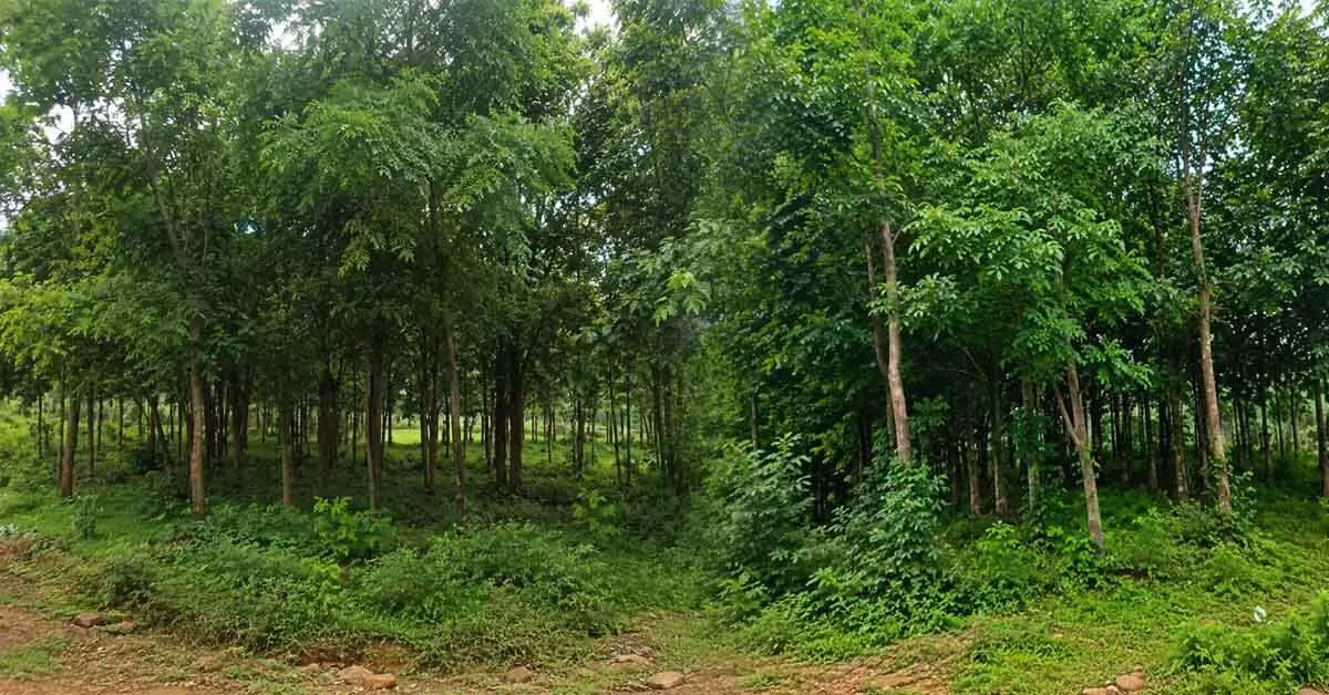 1 ಎಕರೆ 32 ಗುಂಟೆ ವಿಸ್ತೀರ್ಣದ ಗುಂಡು ತೋಪು ಮಂಜೂರಿಗೆ ದಿವಂಗತ ರಾಮಕೃಷ್ಣ ಹೆಗಡೆ ಕುಟುಂಬ ಮನವಿ 1 ಎಕರೆ 32 ಗುಂಟೆ ವಿಸ್ತೀರ್ಣದ ಗುಂಡು ತೋಪು ಮಂಜೂರಿಗೆ ದಿವಂಗತ ರಾಮಕೃಷ್ಣ ಹೆಗಡೆ ಕುಟುಂಬ ಮನವಿ