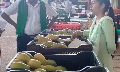 ಉಡುಪಿ: ರಾಮನಗರ ಜಿಲ್ಲೆಯ ಮಾವು ಮೇಳಕ್ಕೆ ಚಾಲನೆ