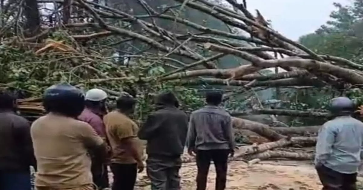 ಚಿಕ್ಕಮಗಳೂರು ಜಿಲ್ಲಾದ್ಯಂತ ಭಾರೀ ಮಳೆ: ಮೂಡಿಗೆರೆಯ ಕೆಳಗೂರು ಬಳಿ ರಸ್ತೆಗೆ ಮರ ಉರುಳಿ ವಾಹನ ಸಂಚಾರ ಸ್ಥಗಿತ ಚಿಕ್ಕಮಗಳೂರು ಜಿಲ್ಲಾದ್ಯಂತ ಭಾರೀ ಮಳೆ: ಮೂಡಿಗೆರೆಯ ಕೆಳಗೂರು ಬಳಿ ರಸ್ತೆಗೆ ಮರ ಉರುಳಿ ವಾಹನ ಸಂಚಾರ ಸ್ಥಗಿತ