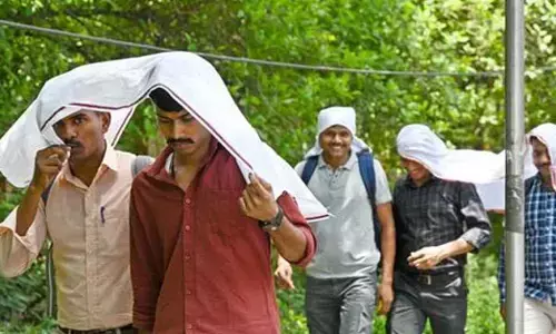 ರಾಷ್ಟ್ರ ರಾಜಧಾನಿಯಲ್ಲಿ ಮತ್ತಷ್ಟು ಹೆಚ್ಚಿದ ಬಿಸಿಲಿನ ಬೇಗೆ:  ಗರಿಷ್ಠ ತಾಪಮಾನ ದಾಖಲು
