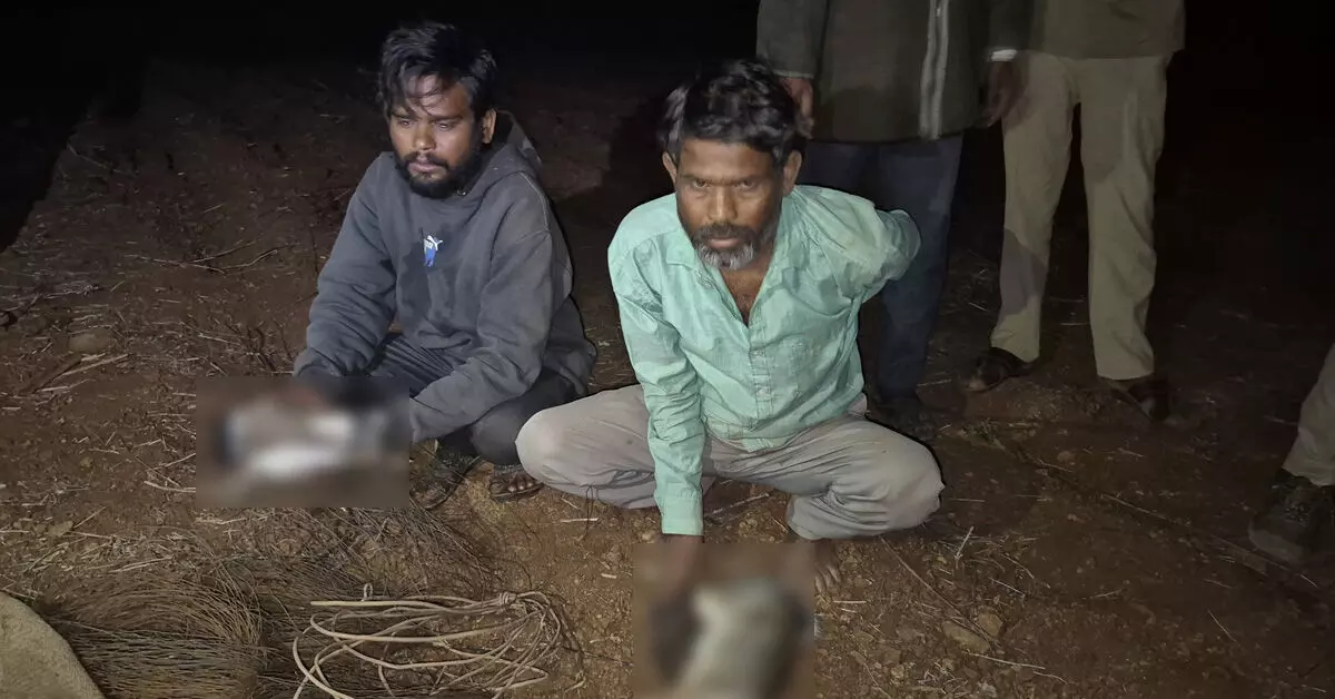 Kalaburagi | ವಿದ್ಯುತ್ ತಂತಿ ಬೇಲಿ ಹಾಕಿ ವನ್ಯಜೀವಿ ಬೇಟೆಗೆ ಸಂಚು : ಇಬ್ಬರ ಬಂಧನ Kalaburagi | ವಿದ್ಯುತ್ ತಂತಿ ಬೇಲಿ ಹಾಕಿ ವನ್ಯಜೀವಿ ಬೇಟೆಗೆ ಸಂಚು : ಇಬ್ಬರ ಬಂಧನ