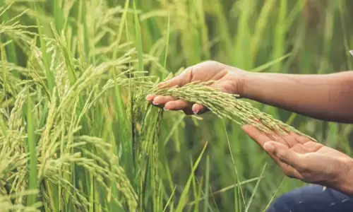 ಕೃಷಿ ಭಾಗ್ಯ ಯೋಜನೆ; ರೈತರಿಗೆ ಶೇ 90ರಷ್ಟು ಸಬ್ಸಿಡಿ