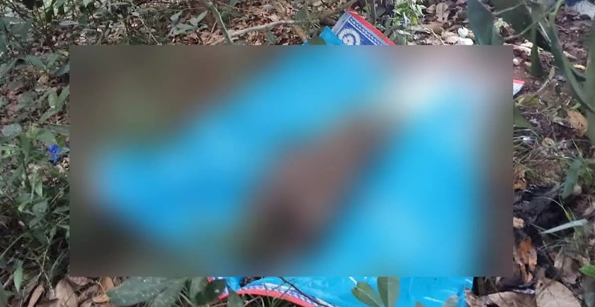 ಮಡಿಕೇರಿ: ಕರಿಕೆ ಮೇಲೆಡ್ಕ ಅರಣ್ಯದಲ್ಲಿ ಕೊಳೆತ ಸ್ಥಿತಿಯಲ್ಲಿ ಮೃತದೇಹ ಪತ್ತೆ ಮಡಿಕೇರಿ: ಕರಿಕೆ ಮೇಲೆಡ್ಕ ಅರಣ್ಯದಲ್ಲಿ ಕೊಳೆತ ಸ್ಥಿತಿಯಲ್ಲಿ ಮೃತದೇಹ ಪತ್ತೆ