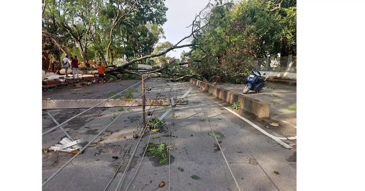 ಚಿಕ್ಕಮಗಳೂರು ನಗರದಲ್ಲಿ ಗಾಳಿ-ಮಳೆಯ ಅಬ್ಬರ: 10ಕ್ಕೂ ಅಧಿಕ ವಿದ್ಯುತ್ ಕಂಬಗಳಿಗೆ ಹಾನಿ ಚಿಕ್ಕಮಗಳೂರು ನಗರದಲ್ಲಿ ಗಾಳಿ-ಮಳೆಯ ಅಬ್ಬರ: 10ಕ್ಕೂ ಅಧಿಕ ವಿದ್ಯುತ್ ಕಂಬಗಳಿಗೆ ಹಾನಿ