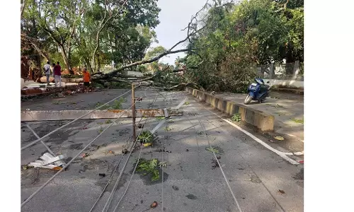 ಚಿಕ್ಕಮಗಳೂರು ನಗರದಲ್ಲಿ ಗಾಳಿ-ಮಳೆಯ ಅಬ್ಬರ: 10ಕ್ಕೂ ಅಧಿಕ ವಿದ್ಯುತ್ ಕಂಬಗಳಿಗೆ ಹಾನಿ