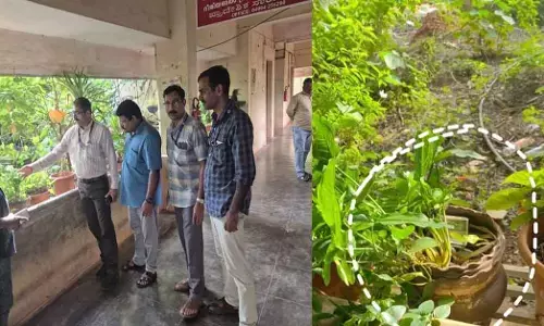 ಕಾಸರಗೋಡು ಆರ್‌ಟಿಒ ಕಚೇರಿಗೆ ವಿಜಿಲೆನ್ಸ್ ದಾಳಿ; ಹೂವಿನ ಕುಂಡದಲ್ಲಿ ನೋಟಿನ ಕಂತೆಗಳು ಪತ್ತೆ