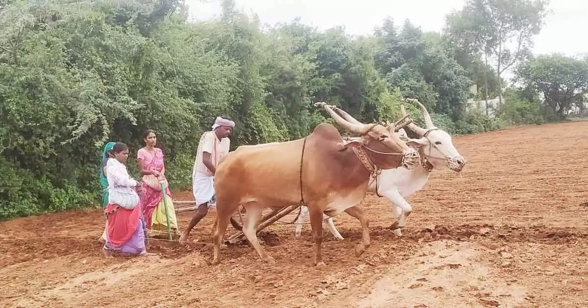 ಕೊಟ್ಟೂರು: ಸಕಾಲಕ್ಕೆ ಮಳೆಯಿಂದ ಗರಿಗೆದರಿದ ಕೃಷಿ ಚಟುವಟಿಕೆಗಳು ಕೊಟ್ಟೂರು: ಸಕಾಲಕ್ಕೆ ಮಳೆಯಿಂದ ಗರಿಗೆದರಿದ ಕೃಷಿ ಚಟುವಟಿಕೆಗಳು
