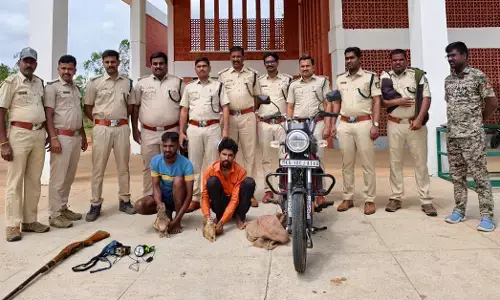 ಬಂಡೀಪುರದಲ್ಲಿ ಬೇಟೆಗಾರರ ಬಂಧನ: ಎರಡು ಜೀವಂತ ಮೊಲಗಳ ರಕ್ಷಣೆ