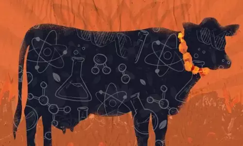 ‘Cowpathy’ ಸಂಶೋಧನೆಗೆ 2020ರಲ್ಲಿ ಮೋದಿ ಸರ್ಕಾರದಿಂದ 98 ಕೋಟಿ ರೂ. ಅನುದಾನ: 6 ವರ್ಷಗಳ ನಂತರ ಬಿಡುಗಡೆಯಾಗಿವೆ IITಗಳು ನಡೆಸಿದ ಸಂಶೋಧನಾ ವರದಿಗಳು