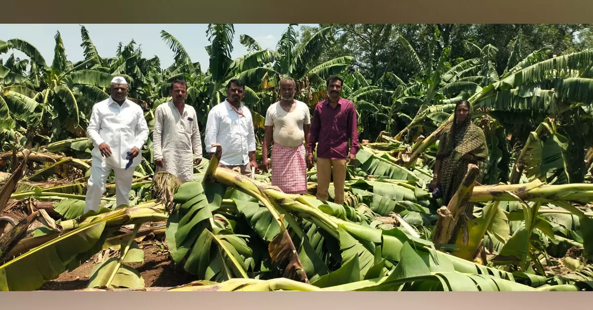Afzalpur | ಭಾರೀ ಮಳೆ-ಬಿರುಗಾಳಿಗೆ ನೆಲಕ್ಕುರುಳಿದ ಸಾವಿರಾರು ಬಾಳೆ ಗಿಡಗಳು Afzalpur | ಭಾರೀ ಮಳೆ-ಬಿರುಗಾಳಿಗೆ ನೆಲಕ್ಕುರುಳಿದ ಸಾವಿರಾರು ಬಾಳೆ ಗಿಡಗಳು