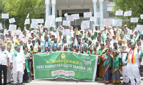 ಕಲಬುರಗಿ | ರೈತರ ಸಾಲ ಮನ್ನಾ, ಬೆಳೆವಿಮೆ ಪಾವತಿಗೆ ಆಗ್ರಹಿಸಿ ಪ್ರತಿಭಟನೆ