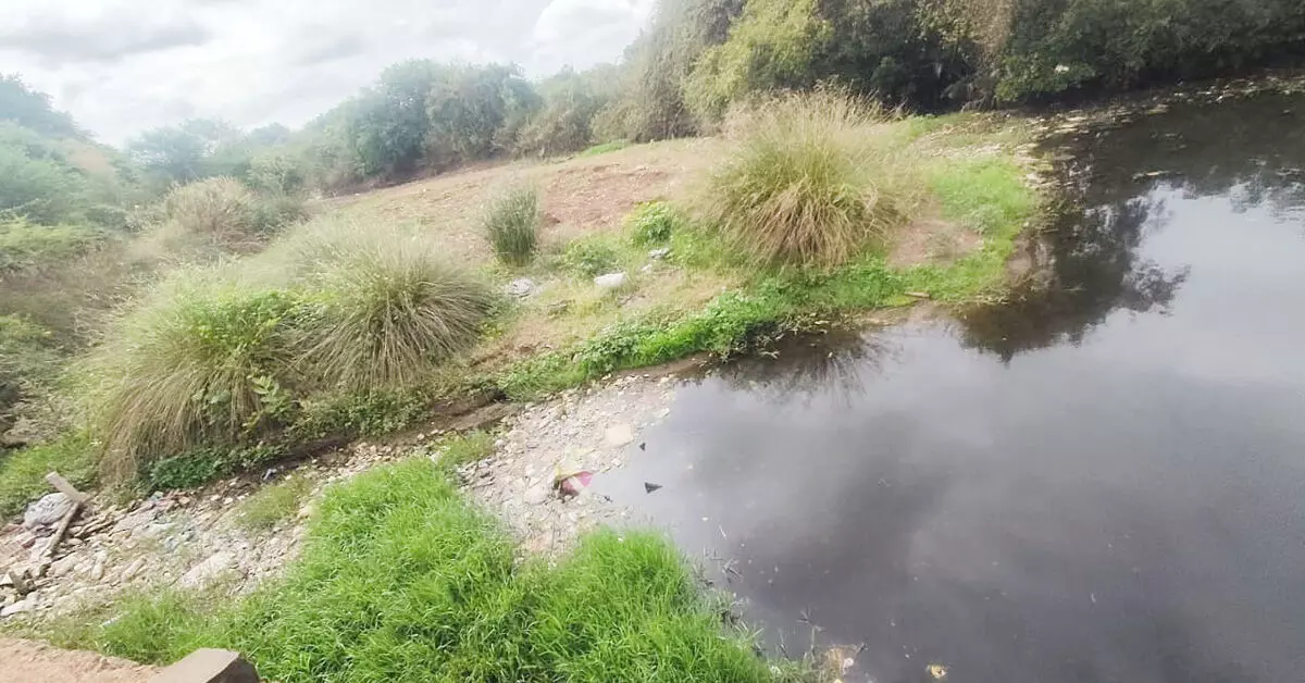 ಕಸದ ತೊಟ್ಟಿಯಾದ ಜೀವಸೆಲೆ: ದುಬಲಗುಂಡಿ ಹಳ್ಳ ಕಲುಷಿತ ಕಸದ ತೊಟ್ಟಿಯಾದ ಜೀವಸೆಲೆ: ದುಬಲಗುಂಡಿ ಹಳ್ಳ ಕಲುಷಿತ