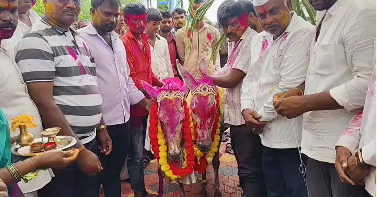 Belagavi | ಮಳೆಗಾಗಿ ಮುನ್ಯಾಳದಲ್ಲಿ ಕತ್ತೆಗಳ ಮದುವೆ Belagavi | ಮಳೆಗಾಗಿ ಮುನ್ಯಾಳದಲ್ಲಿ ಕತ್ತೆಗಳ ಮದುವೆ