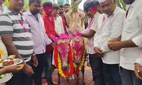 Belagavi | ಮಳೆಗಾಗಿ ಮುನ್ಯಾಳದಲ್ಲಿ ಕತ್ತೆಗಳ ಮದುವೆ