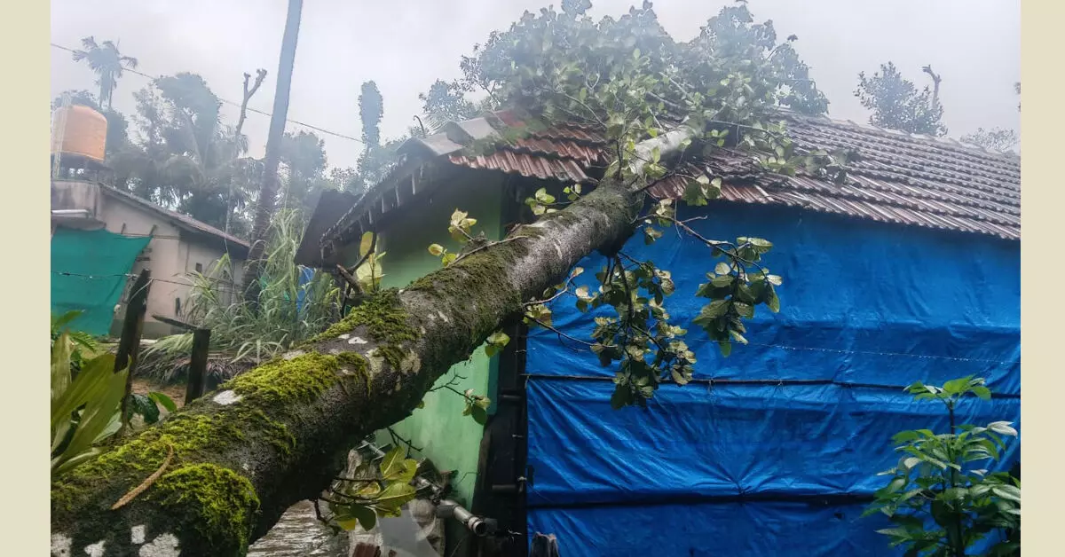 ಮಲೆನಾಡಿನಲ್ಲಿ ಭಾರೀ ಗಾಳಿ-ಮಳೆ: ಮೂಡಿಗೆರೆ ತಾಲೂಕಿನ ಶಾಲೆ, ಅಂಗನವಾಡಿಗಳಿಗೆ ರಜೆ ಮಲೆನಾಡಿನಲ್ಲಿ ಭಾರೀ ಗಾಳಿ-ಮಳೆ: ಮೂಡಿಗೆರೆ ತಾಲೂಕಿನ ಶಾಲೆ, ಅಂಗನವಾಡಿಗಳಿಗೆ ರಜೆ