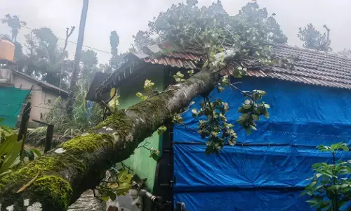 ಮಲೆನಾಡಿನಲ್ಲಿ ಭಾರೀ ಗಾಳಿ-ಮಳೆ: ಮೂಡಿಗೆರೆ ತಾಲೂಕಿನ ಶಾಲೆ, ಅಂಗನವಾಡಿಗಳಿಗೆ ರಜೆ