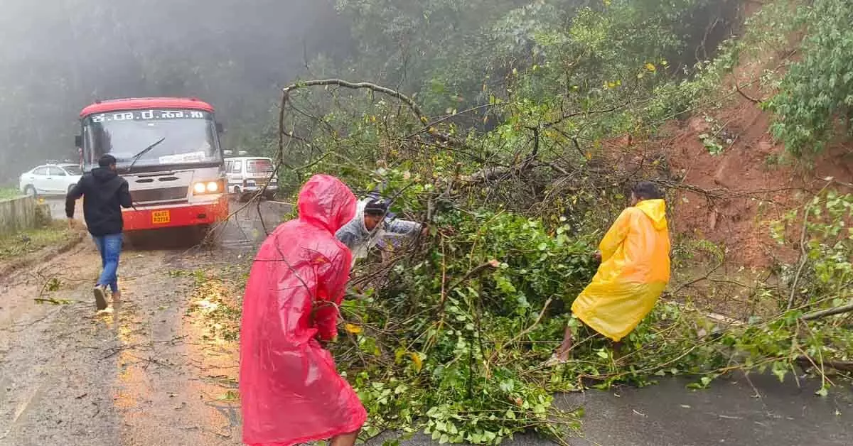 ಭಾರೀ ಗಾಳಿ-ಮಳೆ: ಚಾರ್ಮಾಡಿ ಘಾಟಿಯಲ್ಲಿ ರಸ್ತೆಗೆ ಬಿದ್ದ ಕಲ್ಲು, ಮರ; ಸಂಚಾರ ಅಸ್ತವ್ಯಸ್ತ ಭಾರೀ ಗಾಳಿ-ಮಳೆ: ಚಾರ್ಮಾಡಿ ಘಾಟಿಯಲ್ಲಿ ರಸ್ತೆಗೆ ಬಿದ್ದ ಕಲ್ಲು, ಮರ; ಸಂಚಾರ ಅಸ್ತವ್ಯಸ್ತ