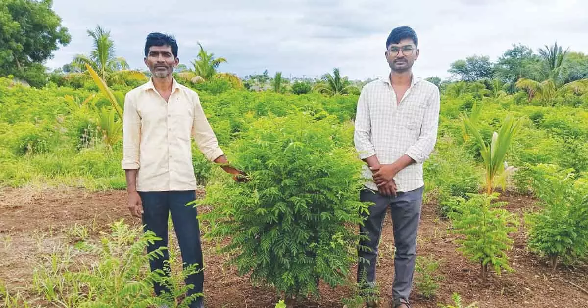 ಸಮಗ್ರ ಕೃಷಿಯಿಂದ ಲಕ್ಷಾಂತರ ರೂಪಾಯಿ ಗಳಿಸುತ್ತಿರುವ ರೈತ ಸಮಗ್ರ ಕೃಷಿಯಿಂದ ಲಕ್ಷಾಂತರ ರೂಪಾಯಿ ಗಳಿಸುತ್ತಿರುವ ರೈತ