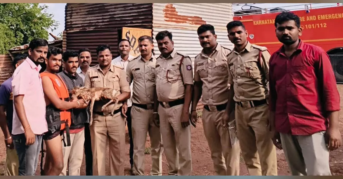 ಹುಮನಾಬಾದ್ | ಬಾವಿಗೆ ಬಿದ್ದ ಜಿಂಕೆ ಮರಿಯನ್ನು ರಕ್ಷಿಸಿದ ಯುವಕ ಹುಮನಾಬಾದ್ | ಬಾವಿಗೆ ಬಿದ್ದ ಜಿಂಕೆ ಮರಿಯನ್ನು ರಕ್ಷಿಸಿದ ಯುವಕ