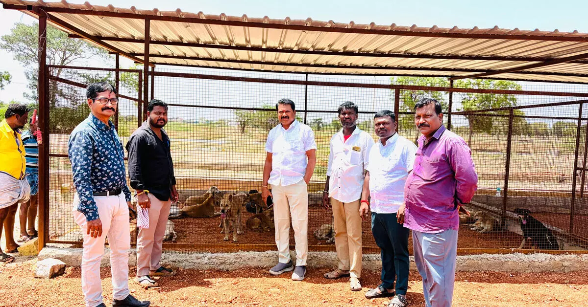 Kanakagiri | ಬೀದಿ ನಾಯಿಗಳ ಹಾವಳಿ ನಿಯಂತ್ರಣಕ್ಕೆ ಎಬಿಸಿ ಕೇಂದ್ರ ಆರಂಭ Kanakagiri | ಬೀದಿ ನಾಯಿಗಳ ಹಾವಳಿ ನಿಯಂತ್ರಣಕ್ಕೆ ಎಬಿಸಿ ಕೇಂದ್ರ ಆರಂಭ
