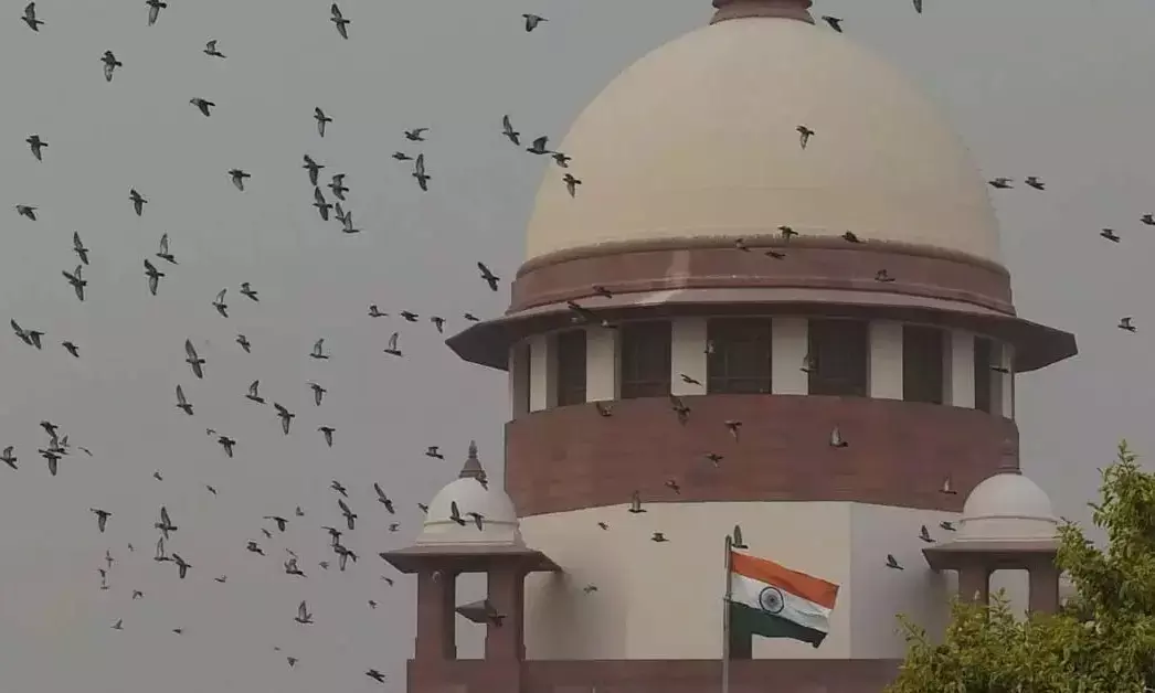 Uttar Pradesh | ಕುಕ್ರೈಲ್ ಮೀಸಲು ಅರಣ್ಯದಲ್ಲಿ ರಾತ್ರಿ ಸಫಾರಿಗೆ ಸುಪ್ರೀಂ ಸಮ್ಮತಿ; ‘ದೇಶ ನಿಂತ ನೀರಾಗಬೇಕೆ?’ ಎಂದು ಪ್ರಶ್ನಿಸಿದ ಸಿಜೆಐ ಸೂರ್ಯಕಾಂತ್