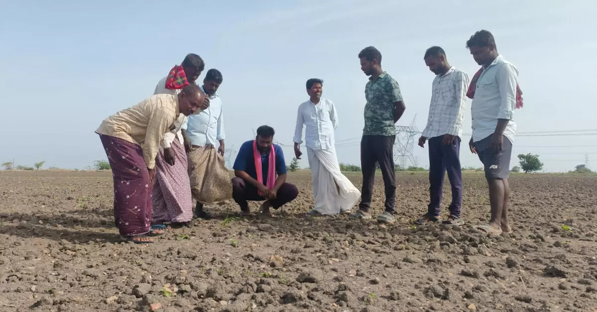 ರಾಯಚೂರು ತಾಲೂಕು ಬರಪೀಡಿತ ಪ್ರದೇಶ ಘೋಷಣೆಗೆ ಆಗ್ರಹ ರಾಯಚೂರು ತಾಲೂಕು ಬರಪೀಡಿತ ಪ್ರದೇಶ ಘೋಷಣೆಗೆ ಆಗ್ರಹ