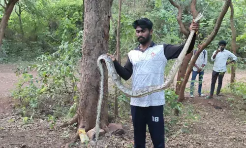 Ballari | ಯಶವಂತನಗರದಲ್ಲಿ 7 ಅಡಿ ಉದ್ದದ ಹೆಬ್ಬಾವು ಸೆರೆ