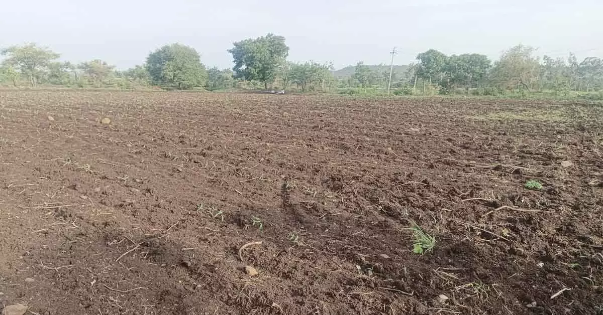 ಮಳೆ ಕೊರತೆ: ಕಲ್ಯಾಣ ಕರ್ನಾಟಕ ಕೃಷಿಗೆ ಭಾರೀ ಹೊಡೆತ ಮಳೆ ಕೊರತೆ: ಕಲ್ಯಾಣ ಕರ್ನಾಟಕ ಕೃಷಿಗೆ ಭಾರೀ ಹೊಡೆತ