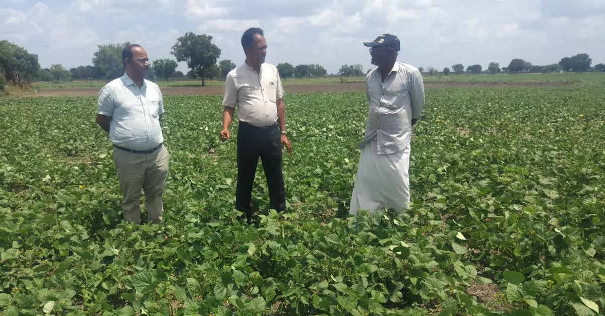 Koppal | ಕುಕನೂರು ಹೋಬಳಿಯಲ್ಲಿ ಬೆಳೆ ಪರಿವೀಕ್ಷಣೆ ಕಾರ್ಯಕ್ರಮ Koppal | ಕುಕನೂರು ಹೋಬಳಿಯಲ್ಲಿ ಬೆಳೆ ಪರಿವೀಕ್ಷಣೆ ಕಾರ್ಯಕ್ರಮ