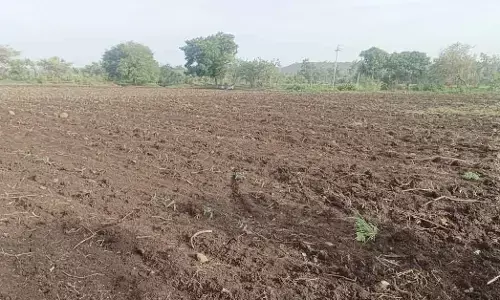 ಮಳೆ ಕೊರತೆ: ಕಲ್ಯಾಣ ಕರ್ನಾಟಕ ಕೃಷಿಗೆ ಭಾರೀ ಹೊಡೆತ