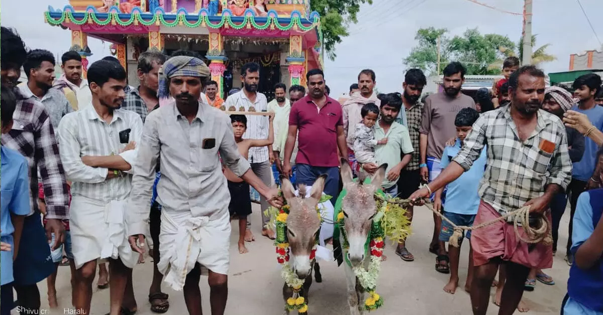 Vijayanagara | ಮಳೆಗಾಗಿ ಹರಾಳು ಗ್ರಾಮದಲ್ಲಿ ಕತ್ತೆಗಳಿಗೆ ಮದುವೆ Vijayanagara | ಮಳೆಗಾಗಿ ಹರಾಳು ಗ್ರಾಮದಲ್ಲಿ ಕತ್ತೆಗಳಿಗೆ ಮದುವೆ