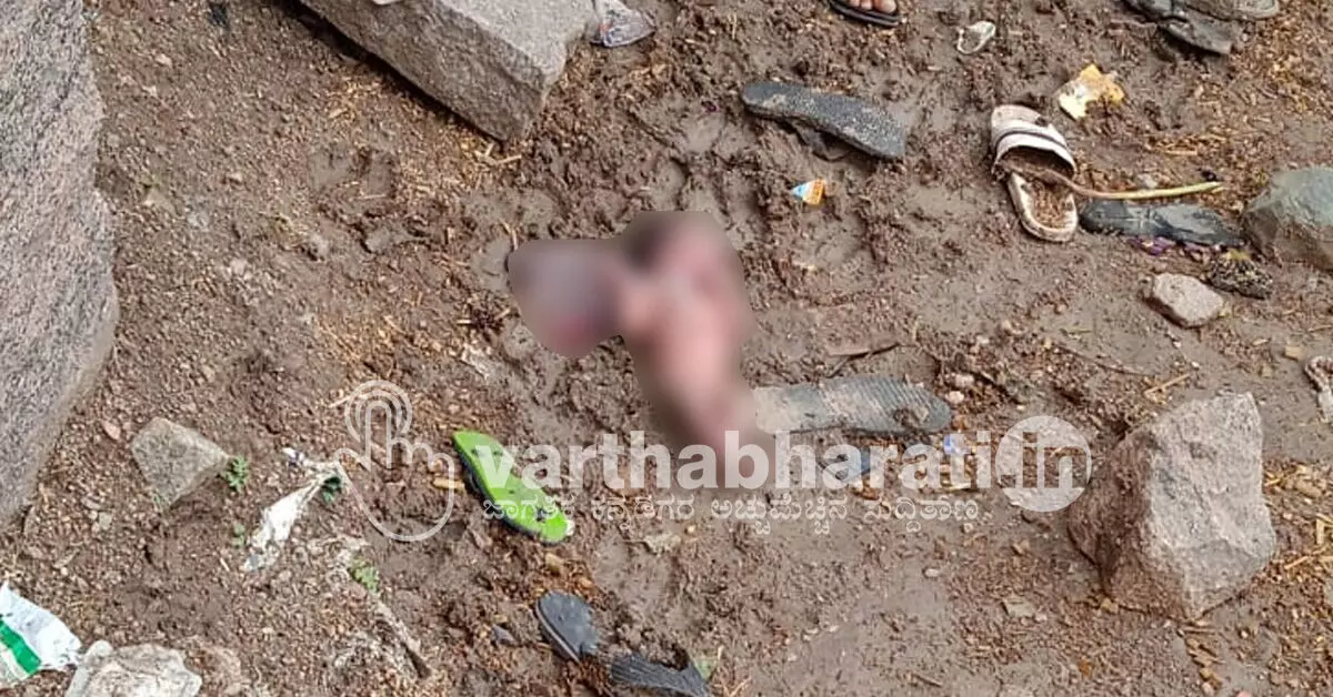 Koppal | ರಸ್ತೆಯಲ್ಲಿ ನವಜಾತ ಗಂಡು ಮಗು ಪತ್ತೆ Koppal | ರಸ್ತೆಯಲ್ಲಿ ನವಜಾತ ಗಂಡು ಮಗು ಪತ್ತೆ