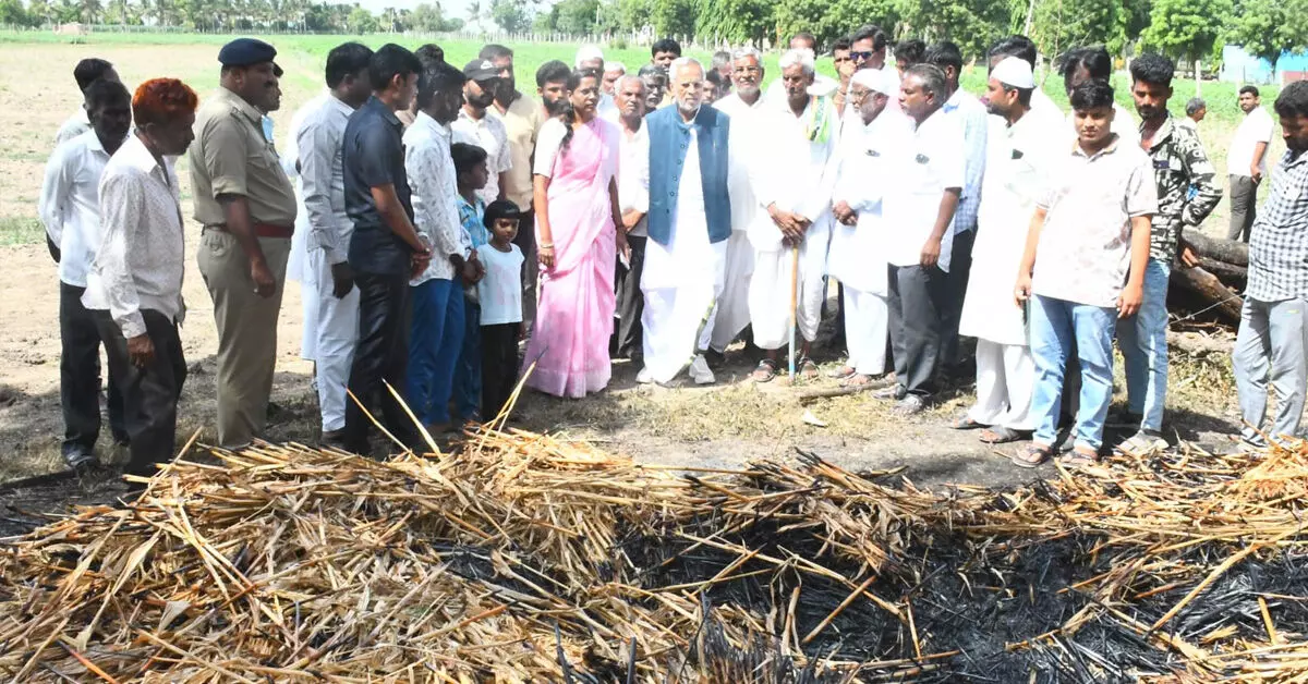 ಬೆಂಕಿ ಅವಘಡದಿಂದ ಹಾನಿಗೊಳಗಾದ ರೈತರ ಹೊಲಕ್ಕೆ ಶಾಸಕ ಚೆನ್ನಾರೆಡ್ಡಿ ಪಾಟೀಲ್ ಭೇಟಿ ಬೆಂಕಿ ಅವಘಡದಿಂದ ಹಾನಿಗೊಳಗಾದ ರೈತರ ಹೊಲಕ್ಕೆ ಶಾಸಕ ಚೆನ್ನಾರೆಡ್ಡಿ ಪಾಟೀಲ್ ಭೇಟಿ