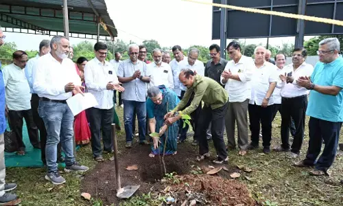 ಬಜ್ಪೆ| ಗಿಡ ನೆಡುವ ಮೂಲಕ ಬ್ಯಾಂಕ್ ರಾಷ್ಟ್ರೀಕರಣದ 58ನೆ ವಾರ್ಷಿಕ ದಿನಾಚರಣೆ