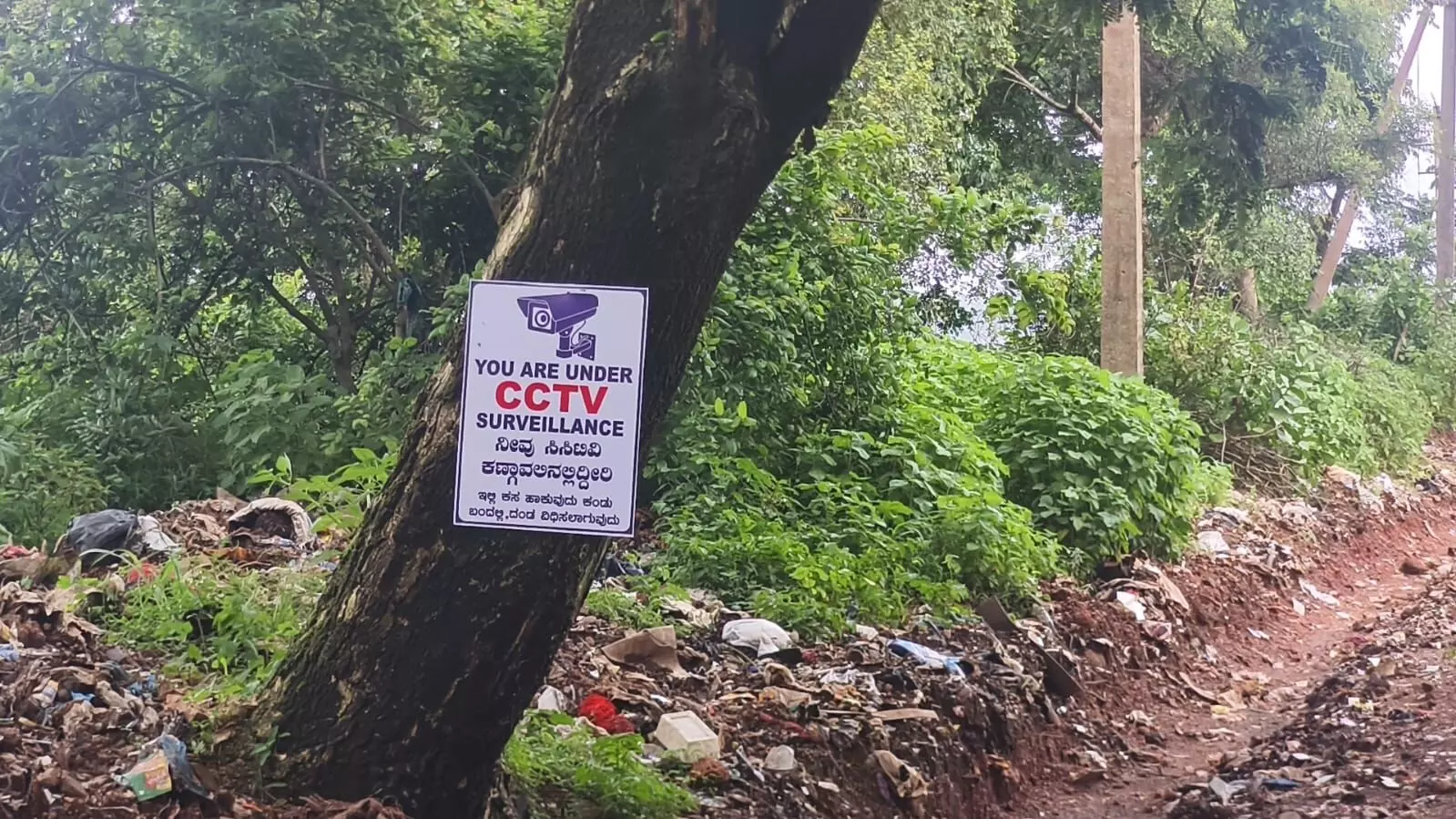 ಬಿಳಲಖಂಡದಲ್ಲಿ ಕಸ ಎಸೆಯುವವರ ಮೇಲೆ ಸಿಸಿಟಿವಿ ಕಣ್ಗಾವಲು: ನಿಯಮ ಉಲ್ಲಂಘಿಸಿದವರಿಗೆ ದಂಡ ಬಿಳಲಖಂಡದಲ್ಲಿ ಕಸ ಎಸೆಯುವವರ ಮೇಲೆ ಸಿಸಿಟಿವಿ ಕಣ್ಗಾವಲು: ನಿಯಮ ಉಲ್ಲಂಘಿಸಿದವರಿಗೆ ದಂಡ