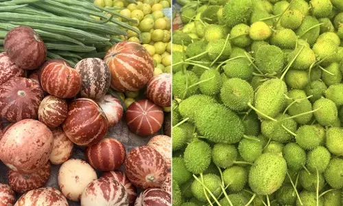 ಗಾಡಿಯಲ್ಲಿ ಋತುಮಾನದ ಹಣ್ಣುಗಳು; ಭಾರತದ ಬೇಸಗೆ ಹಣ್ಣುಗಳು ವೈರಲ್ ಆಗುತ್ತಿರುವುದೇಕೆ?