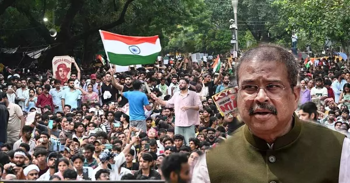 ಆನೆಯನ್ನು ಗೆದ್ದ ಇರುವೆಗಳು! ಆನೆಯನ್ನು ಗೆದ್ದ ಇರುವೆಗಳು!