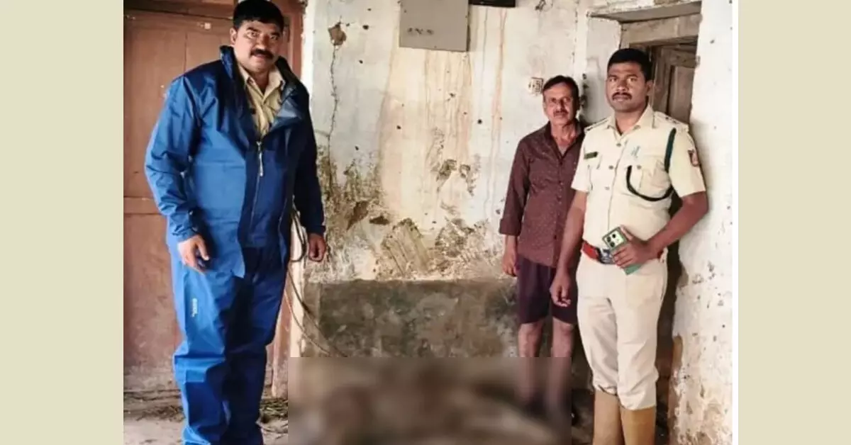ಸಕಲೇಶಪುರ | ಕೊಟ್ಟಿಗೆಗೆ ನುಗ್ಗಿ ಕಾಡಾನೆ ದಾಳಿ: ಕರು ಸಾವು, ಹಸುವಿಗೆ ಗಂಭೀರ ಗಾಯ ಸಕಲೇಶಪುರ | ಕೊಟ್ಟಿಗೆಗೆ ನುಗ್ಗಿ ಕಾಡಾನೆ ದಾಳಿ: ಕರು ಸಾವು, ಹಸುವಿಗೆ ಗಂಭೀರ ಗಾಯ