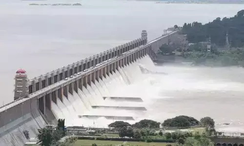ಹೂಳು ತುಂಬಿದ ಕೆರೆ, ಜಲಾಶಯಗಳು