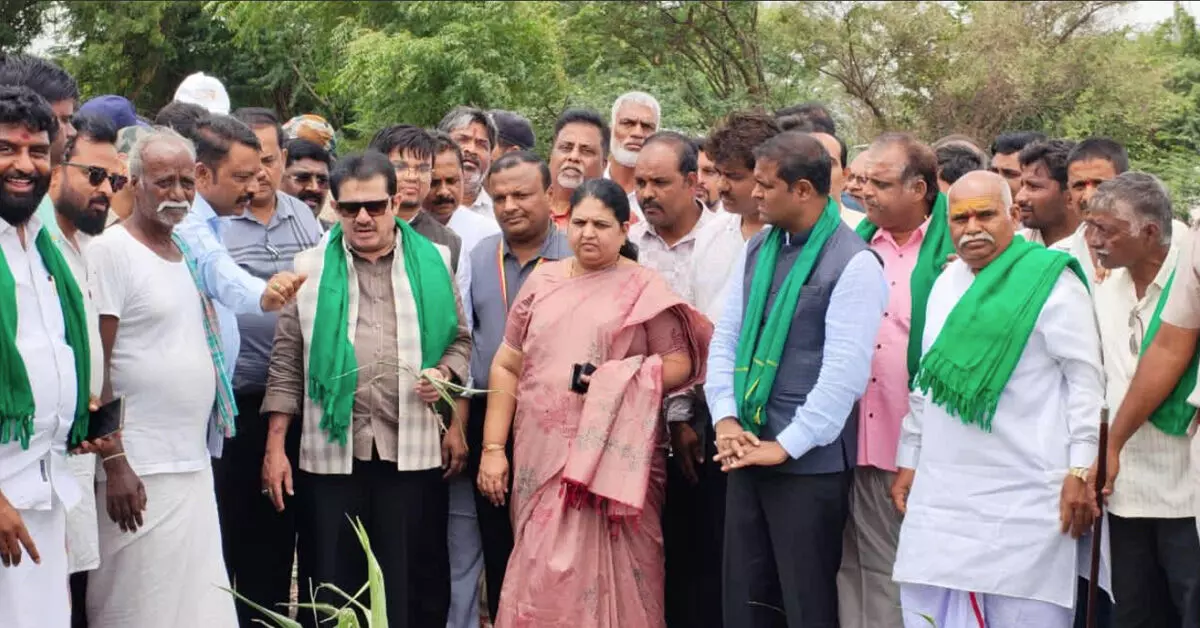 ಬರಪೀಡಿತ ಪ್ರದೇಶಗಳಿಗೆ ಸಚಿವ ಝಮೀರ್ ಅಹ್ಮದ್ ಭೇಟಿ; ರೈತರಿಗೆ ಪರಿಹಾರದ ಭರವಸೆ ಬರಪೀಡಿತ ಪ್ರದೇಶಗಳಿಗೆ ಸಚಿವ ಝಮೀರ್ ಅಹ್ಮದ್ ಭೇಟಿ; ರೈತರಿಗೆ ಪರಿಹಾರದ ಭರವಸೆ