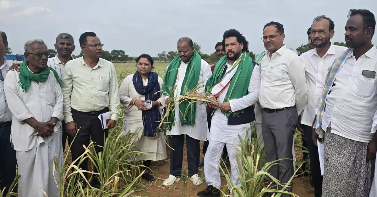 ಬರ ಅಧ್ಯಯನಕ್ಕೆ ಸಚಿವ ಬಿ.ನಾಗೇಂದ್ರ ಹೊಲಗಳಿಗೆ ಭೇಟಿ; ರೈತರಿಗೆ ವಿಮೆ ಪರಿಹಾರದ ಭರವಸೆ ಬರ ಅಧ್ಯಯನಕ್ಕೆ ಸಚಿವ ಬಿ.ನಾಗೇಂದ್ರ ಹೊಲಗಳಿಗೆ ಭೇಟಿ; ರೈತರಿಗೆ ವಿಮೆ ಪರಿಹಾರದ ಭರವಸೆ