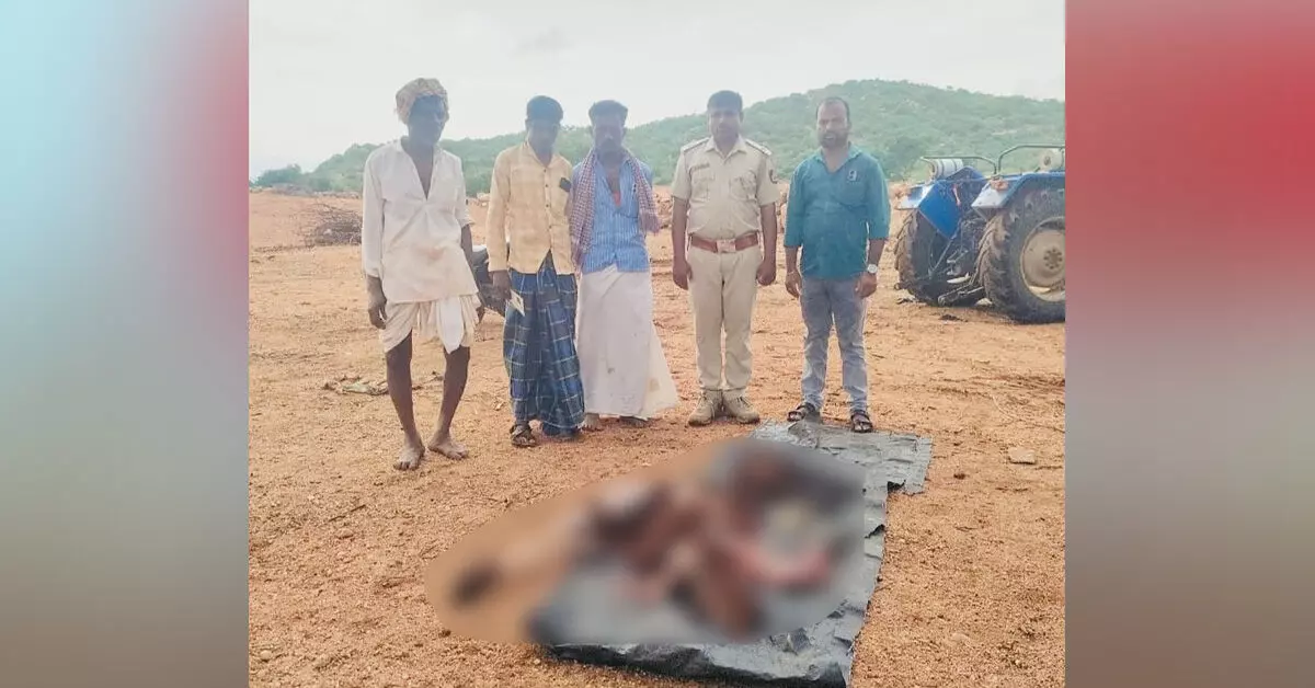 Kanakagiri | ಚಿರತೆ ದಾಳಿಗೆ ಎರಡು ಕುರಿಗಳು ಬಲಿ; ಗ್ರಾಮಸ್ಥರಲ್ಲಿ ಆತಂಕ Kanakagiri | ಚಿರತೆ ದಾಳಿಗೆ ಎರಡು ಕುರಿಗಳು ಬಲಿ; ಗ್ರಾಮಸ್ಥರಲ್ಲಿ ಆತಂಕ