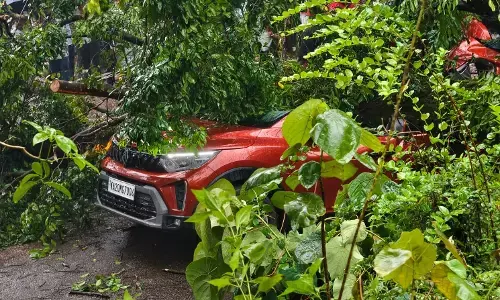 ಹೆಬ್ರಿ| ಚಲಿಸುತ್ತಿದ್ದ ಕಾರಿನ ಮೇಲೆ ಮರ ಬಿದ್ದು ಚಾಲಕ ಸ್ಥಳದಲ್ಲಿಯೇ ಮೃತ್ಯು