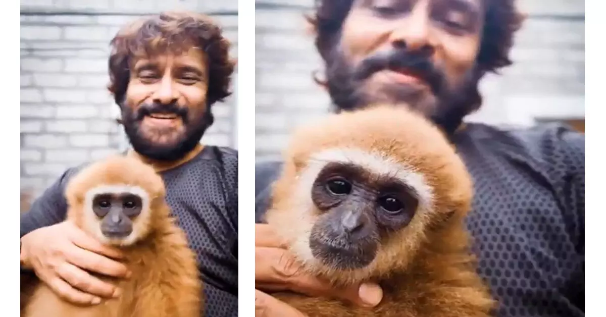ವನ್ಯಜೀವಿ ಕಾರ್ಯಕರ್ತರಿಂದ ವಿರೋಧ: ಕೋತಿ ಜೊತೆಗಿನ ಇನ್ಸ್ಟಾಗ್ರಾಂ ರೀಲ್ ಡಿಲೀಟ್ ಮಾಡಿದ ನಟ ವಿಕ್ರಮ್ ವನ್ಯಜೀವಿ ಕಾರ್ಯಕರ್ತರಿಂದ ವಿರೋಧ: ಕೋತಿ ಜೊತೆಗಿನ ಇನ್ಸ್ಟಾಗ್ರಾಂ ರೀಲ್ ಡಿಲೀಟ್ ಮಾಡಿದ ನಟ ವಿಕ್ರಮ್
