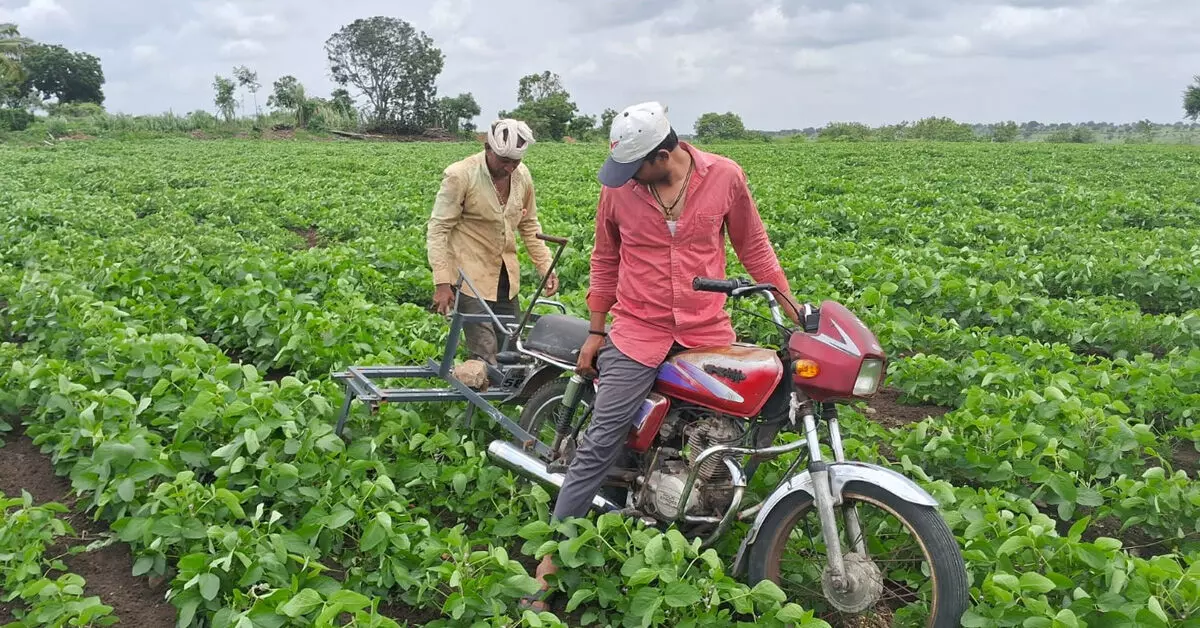 Aland | ಬೈಕ್ನಿಂದ ಎಡೆಸಾಗು: ಕೃಷಿಯಲ್ಲಿ ಹೊಸ ಪ್ರಯೋಗಕ್ಕೆ ಮುಂದಾದ ರೈತ Aland | ಬೈಕ್ನಿಂದ ಎಡೆಸಾಗು: ಕೃಷಿಯಲ್ಲಿ ಹೊಸ ಪ್ರಯೋಗಕ್ಕೆ ಮುಂದಾದ ರೈತ