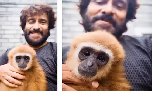 ವನ್ಯಜೀವಿ ಕಾರ್ಯಕರ್ತರಿಂದ ವಿರೋಧ: ಕೋತಿ ಜೊತೆಗಿನ ಇನ್ಸ್ಟಾಗ್ರಾಂ ರೀಲ್ ಡಿಲೀಟ್ ಮಾಡಿದ ನಟ ವಿಕ್ರಮ್